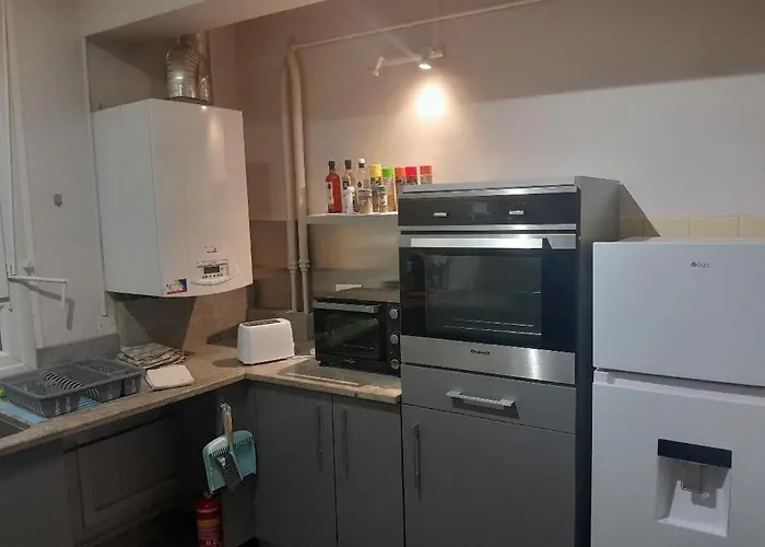 Vue De Reve Dans De Standing - Vous Faites Le Menage-very Good Prices But Have To Cle-an Th-e Flat Lourdes